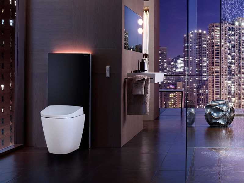 Туалет с подвесным унитазом: фото в интерьере. Современные подвесные унитазы: красивый дизайн. Подвесной унитаз в интерьере на фото.