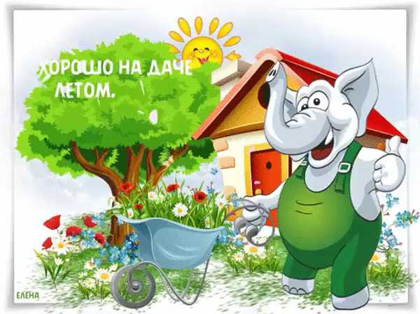 Красивый дизайн дворов частного дома: 160+ (фото) оформления