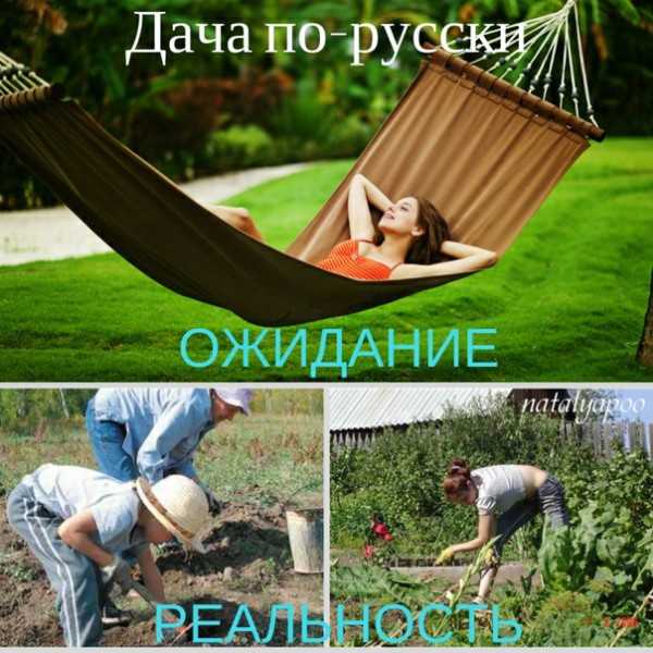 Базы отдыха с отдельными домиками в подмосковье